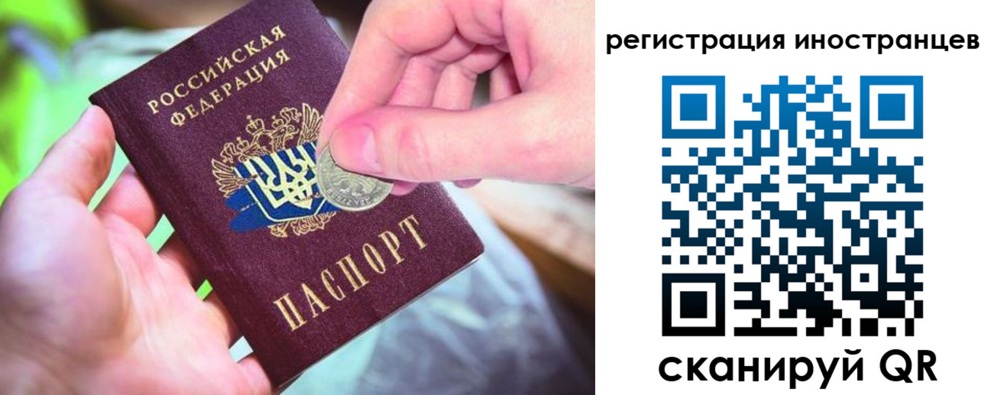 прописка для работы в Нелидово